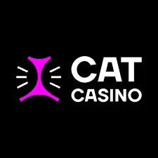 CAT CASINO рабочее зеркало 2026